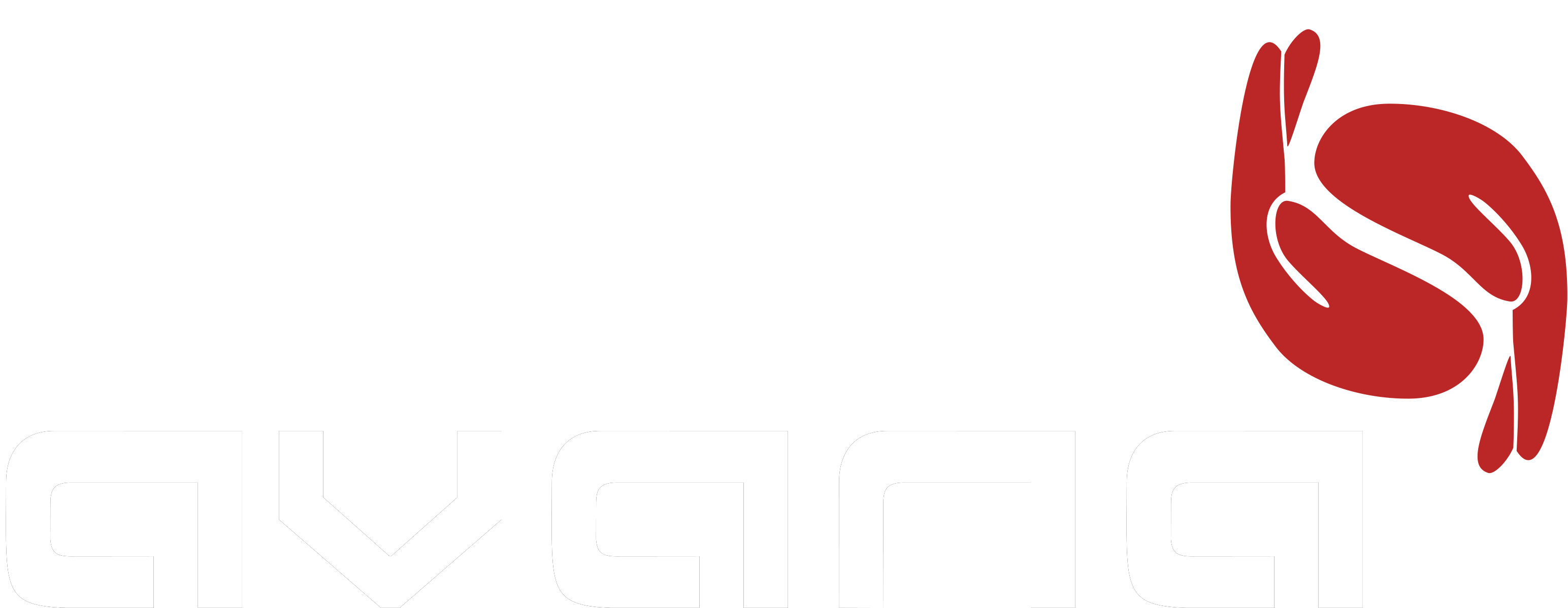 Avana Surgical Systems logo